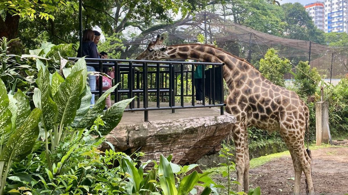 Wali Kota Bandung Minta Pendampingan Kejati Jabar dalam Kasus Bandung Zoo
