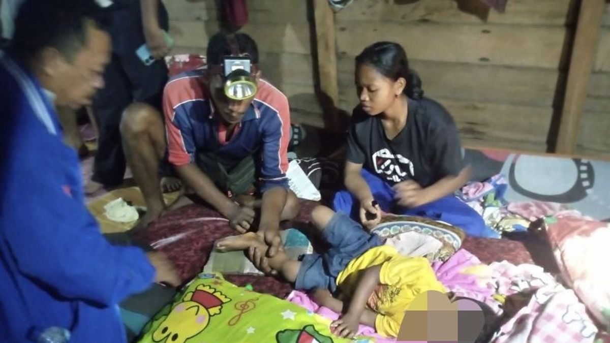 حالة دخول النمر إلى منزل طفل نائم عض في قدميه ، BBKSDA Riau Pasang Kandang Jebak