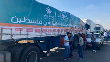 14人道主义援助运输卡车通过拉法进入加沙