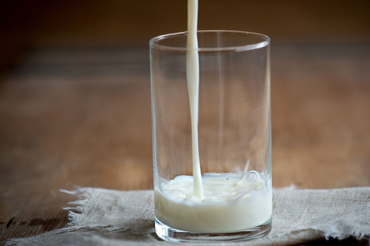 Comparé au lait de poisson au lait de vache, quel est le plus nutritif?