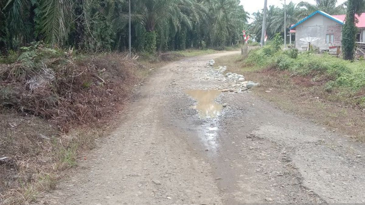 Mukomuko Regency Government Allocates IDR 18.4 Billion To Build Rural Roads