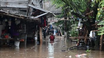 BNPB: Pluie torrentielle pendant 24 heures provoque inondations à Bekasi, Jakarta jusqu'à Cirebon