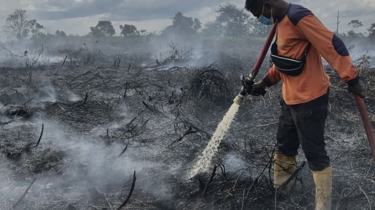 Eight Command Posts Prepared Handling Forest Fires In OKU South Sumatra