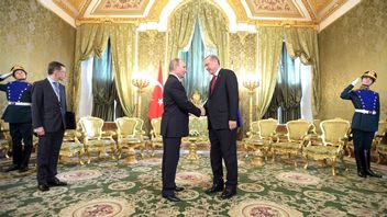 埃尔多安总统准备调解俄乌冲突：我们希望这个地区不被战争所控制