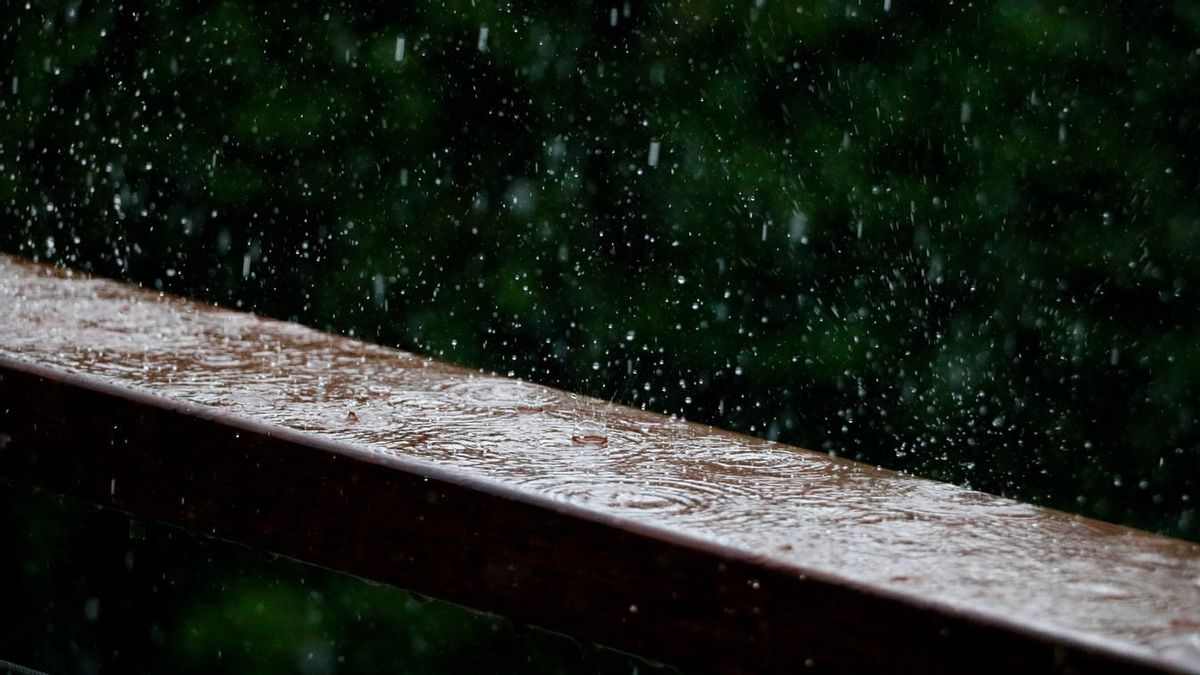 Info BMKG Hari Ini: Hujan Lebat Berpotensi Terjadi di Beberapa Daerah