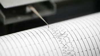 Gempa M 5,0 Bandung, BPBD Terjunkan 1.000 Relawan Data Dampak Kerusakan di Canjur