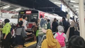 KRL Lenteng Agung-Bogor Line的中断, 乘客对转移其他运输感到不安