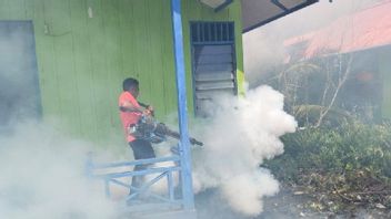 Residents Difficulty Cleaning Mosquito Larvae In Shelters So Triggers High Dengue Fever In Asmat Papua