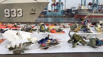 スリウィジャヤ航空SJ-182被害者識別プロセスが正式に終了し、3人の犠牲者が残る