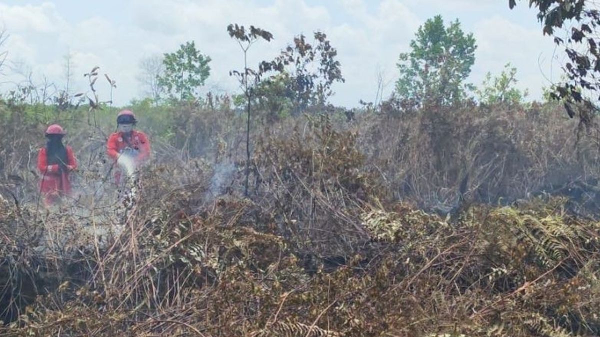 2 Kecamatan di Singkawang Kalbar Dilanda Karhutla, Petugas Alami Kesulitan Pemadaman