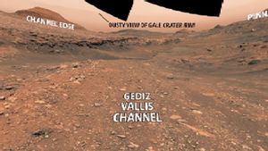 NASA's Curiosity Explorer Will Leave Gediz Vallis, The Bottom Of The Drying River On Mars