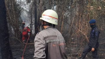 셀리피 경찰, 여러 지역에서 발생한 산불 원인 조사