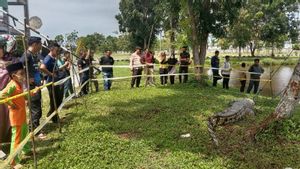 Usai Ditangkap Pawang, Buaya 4 Meter Pemangsa Manusia di Sungai Selagan Mukomuko Mati