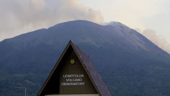 レンバタ噴火のイル・レウォトロク山、高さ500メートルの火山灰