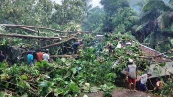 Sukabumi Earthquake Damaged 4 Houses In Cianjur