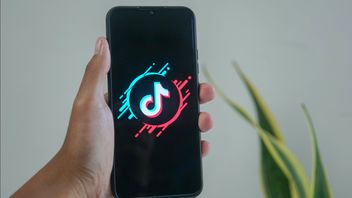 How To Subscribe TikTok Music And The Fees Details Of The Package