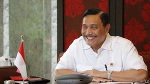 Menko Marves Luhut Ditunjuk Jokowi Jadi Koordinator PPKM Darurat Jawa-Bali 