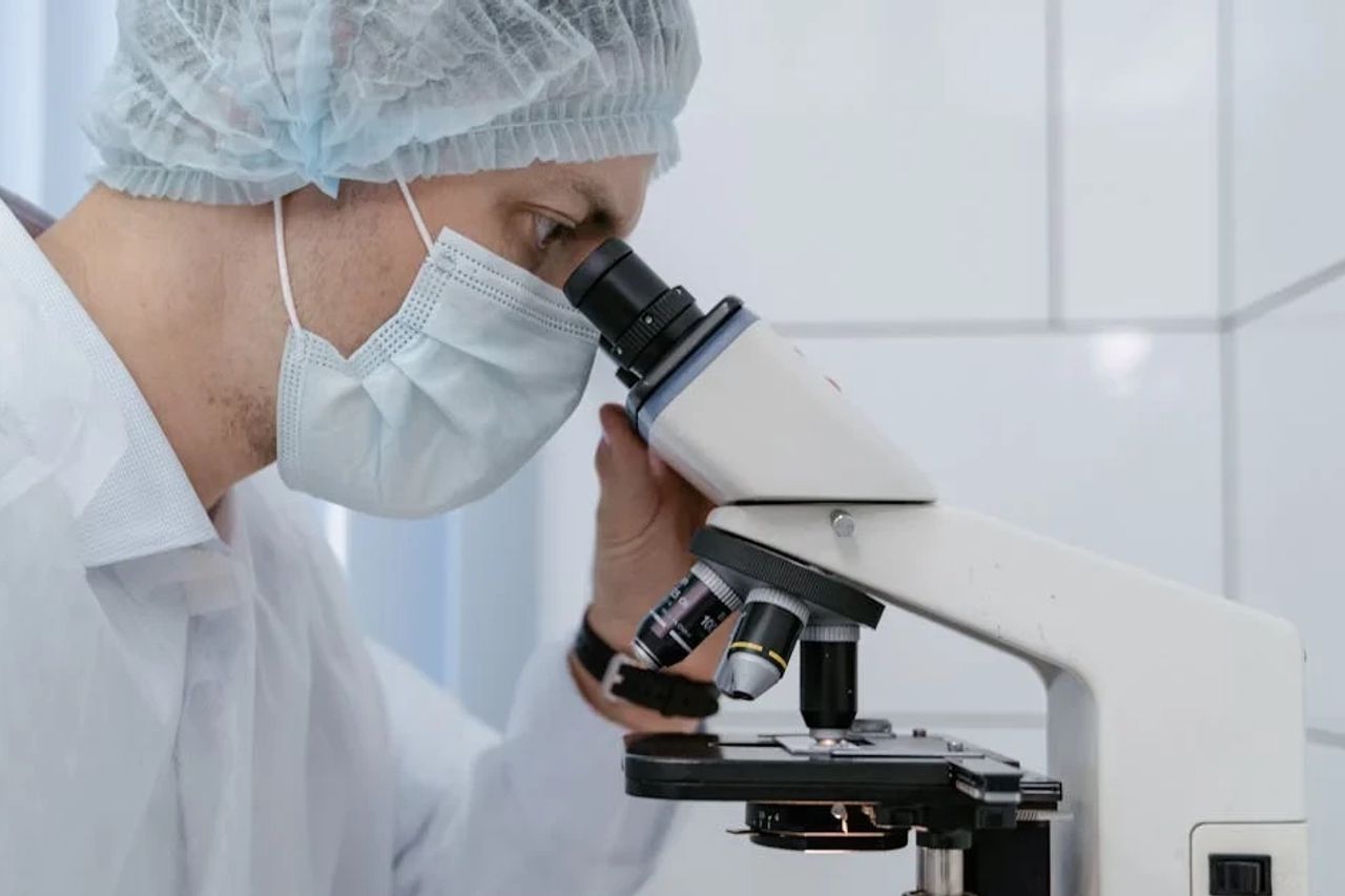 Des scientifiques découvrent comment rendre des peaux plus transparentes à l'aide de la couleur d'alimentation