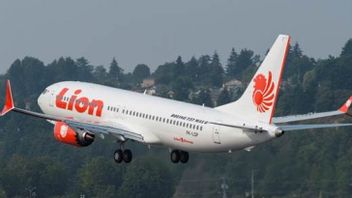 Lion Air Officers Arbitrarily Threw Passenger Luggage Until It Rolled Off The Stairs, The Incident Is Still Being Investigated