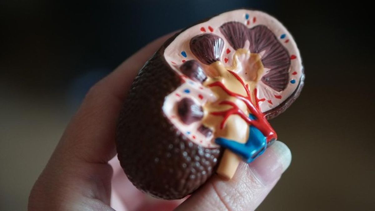 疫学者:インドネシアの腎不全の症例は異常な事件の基準を埋める