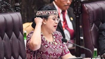 Singgung RPJPN 2025-2045, Puan Maharani Tekankan Pentingnya Politik Pembangunan Indonesia