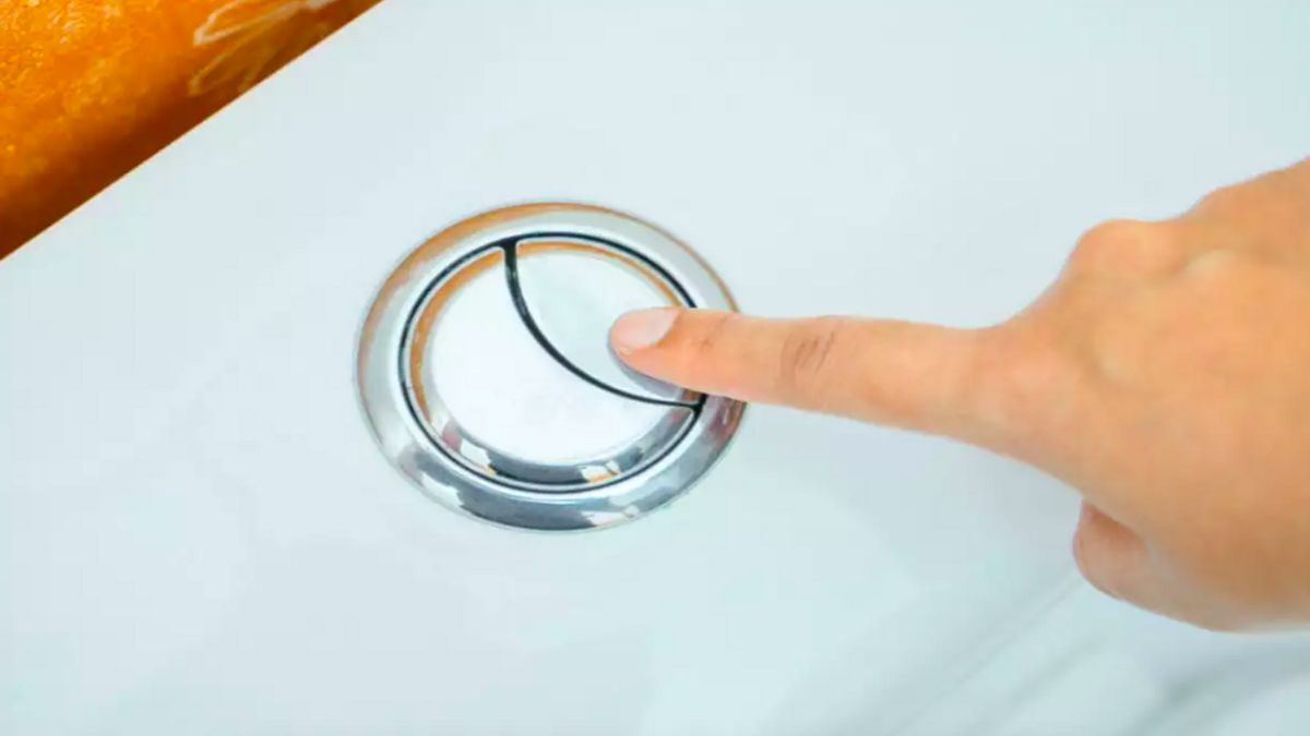 Perbedaan Fungsi Dua Tombol Flush di Toilet Duduk, Sudah Tahu?