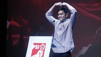 Kaesang Targets Central Java as an Elephant Enclosure, Jokowi's Son is Called Again a Dream in the Morning of Bolong