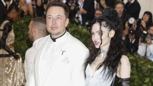 CEO Tesla, Elon Musk dan Grimes Ternyata Punya Bayi Perempuan "Y" Lewat Ibu Pengganti