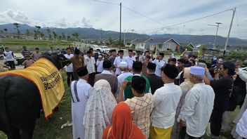 Tanda Cinta dari Presiden Prabowo, Warga Petobo Palu Terima Hewan Kurban Lewat Menteri P2MI