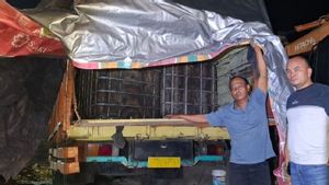 Polisi Usut Jaringan Truk Modifikasi Angkut 1,4 Ton Solar Subsidi di Sumut