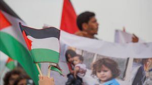 マレーシア首相、イスラエルに拘束されたグローバル・スムド・フリタラの活動家の解放を要請