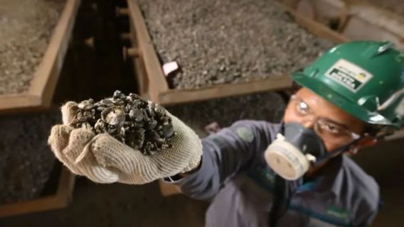 不確実なニッケル価格、ヴァーレの投資運命はどうですか?