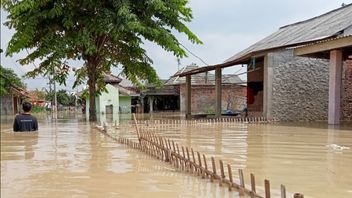 Karawang Flood Caused by Citarum and Cibeet River Overflow