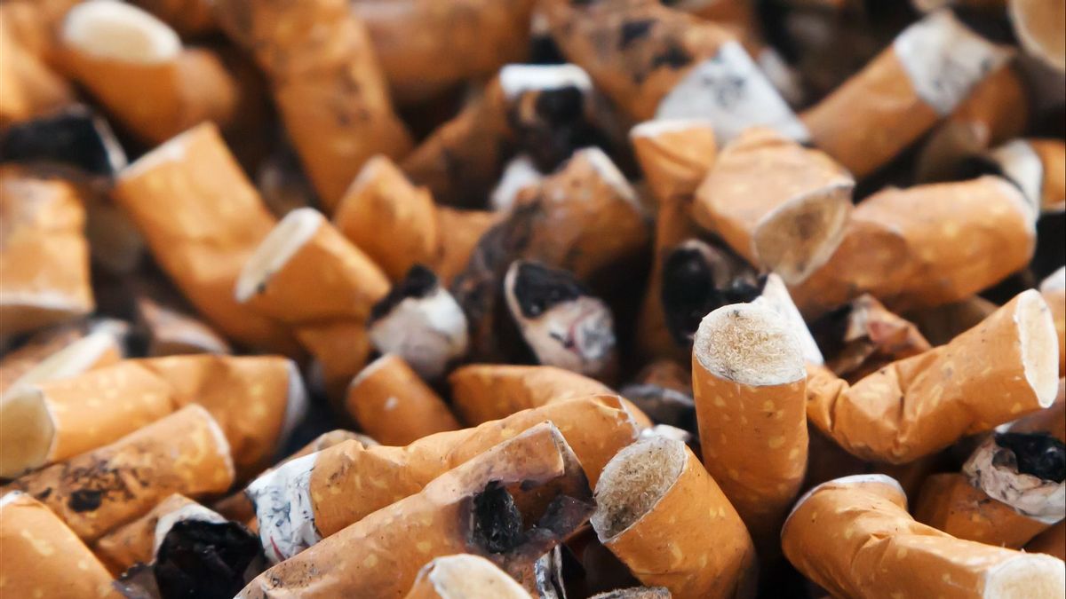 Les règles de la zone sans cigarette dans l’ouest de Manggarai n’ont pas été maximales, Wabup: Définis pour ne pas être Ompong