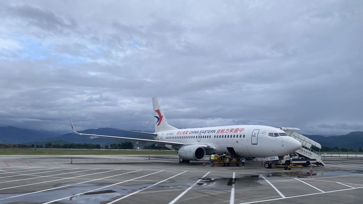 Hewan Peliharaan Lepas di Kabin: Penerbangan Maskapai Ini Ditunda, Seluruh Penumpang Terpaksa Turun