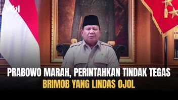 Tanggapan Presiden Prabowo atas Hilangnya Nyawa Driver Ojol Affan Kurniawan