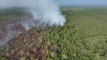 BPBD Riau, 3 지역에서 화재를 진압