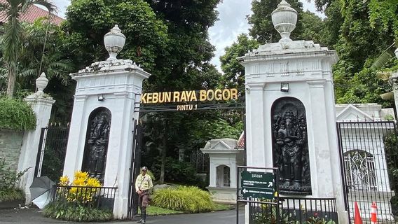 5 Hits Tourist Destinations In Bogor That Must Be Visited For The 2024 End Of Year Holidays