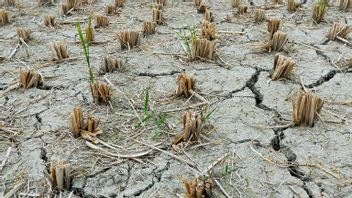 Beware Of Potential Drought And Fires In The Dry Season