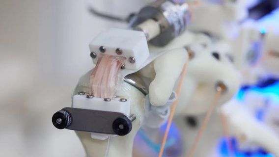 Robot Shoulders Can Easily Grow Human Cells, Here's The Proof!