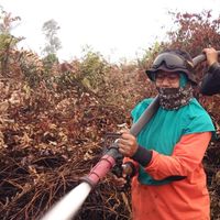 Menteri LHK: Provinsi Riau Berhasil Bebas dari Ancaman Karhutla