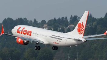 Alami Bird Strike, Pesawat Lion Air Surabaya Kembali ke Bandara Juanda