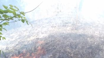 5 Hectares Of Land In Aceh Burned In The Middle Of The Dry Season