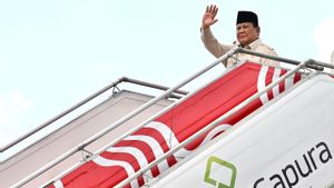 Presiden Prabowo Lakukan Kunjungan Kenegaraan ke Brasilia Usai KTT BRICS