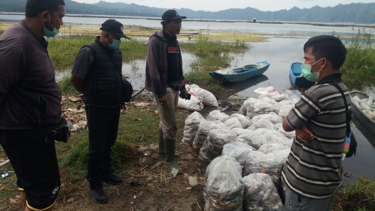 硫磺爆炸，巴图尔湖巴厘岛近20吨鱼死亡
