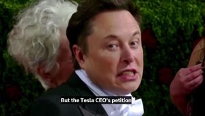 Pengacara Twitter Klaim Data yang Diajukan Elon Musk tentang Akun Palsu Tak Disertai Bukti Kuat