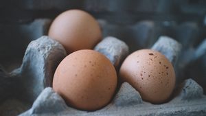 Jangan Asal Pilih, Kenali Ciri Telur Ayam yang Baik Sebelum Membeli