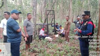 CCTV Owned By Residents The Central Tiger Record Passes, The Siak Regent Throws Warning Not Doing Activities In The Forests On His OWN