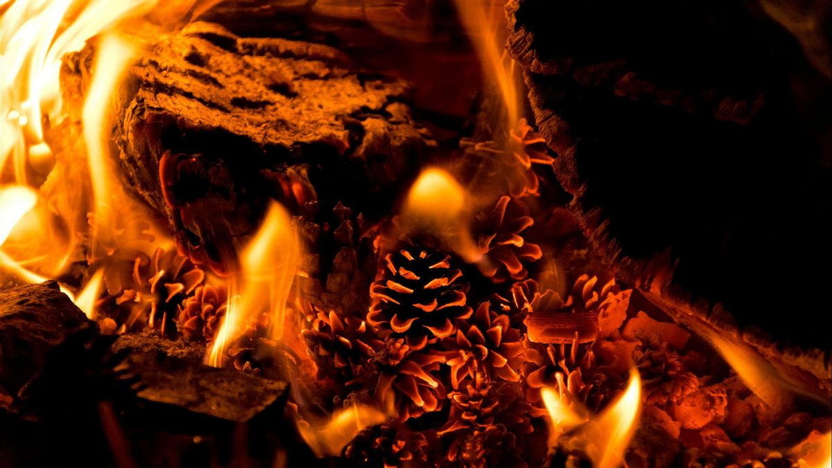 Pria Iran Bakar Diri Usai Tempat Usahanya Digusur, Presiden Pezeshkian Perintahkan Penyelidikan 