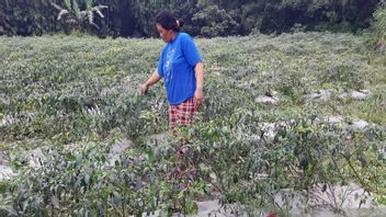 3 Desa di Boyolali Terdampak Hujan Abu Erupsi Gunung Merapi, BPBD Pastikan Warga Aman Terkendali